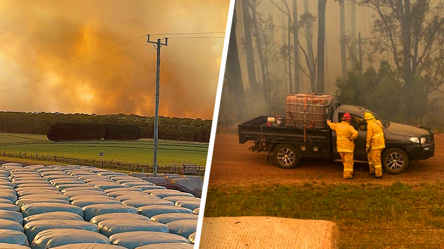 ‘Adrenaline kicks in’: Farming families unite