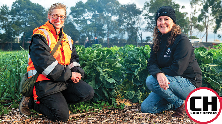 Farm thriving six months on
