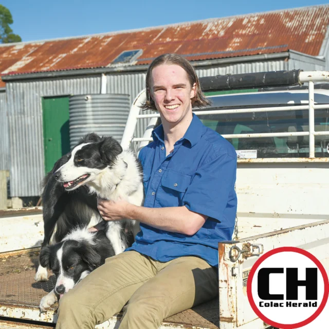Winchelsea’s Nick Jordan-Hill knows the vital role that doctors play in small communities, and the lived experience is helping shape his own career path.

Nick lives at a sheep farm with cropping land north of Winchelsea’s township, and has called the area home all his life.

Nick is also one of four Deakin postgraduate medical students undertaking a 42-week clinical placement at Colac Area Health this year.