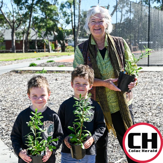 A new planting project at Cororooke’s celebrated open space would help complete a history trail’s 100,000-year story.

The Red Rock District Progress Association has applied for a grant to plant the precinct with indigenous species, providing a real-life snapshot of what the precinct’s vegetation would have looked like before colonisation.

#colacherald