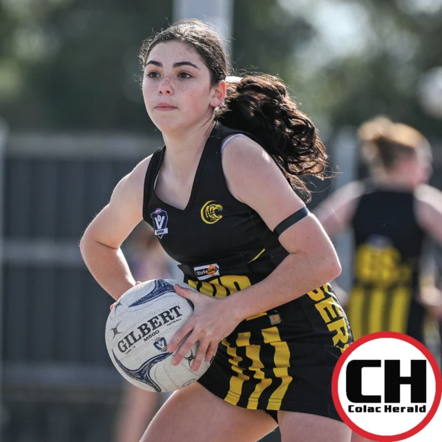 JUNIOR NETBALLERS 

The Colac Herald dropped by the @colactigersfnc  juniors' netball games last week, capturing the athletes in action.
