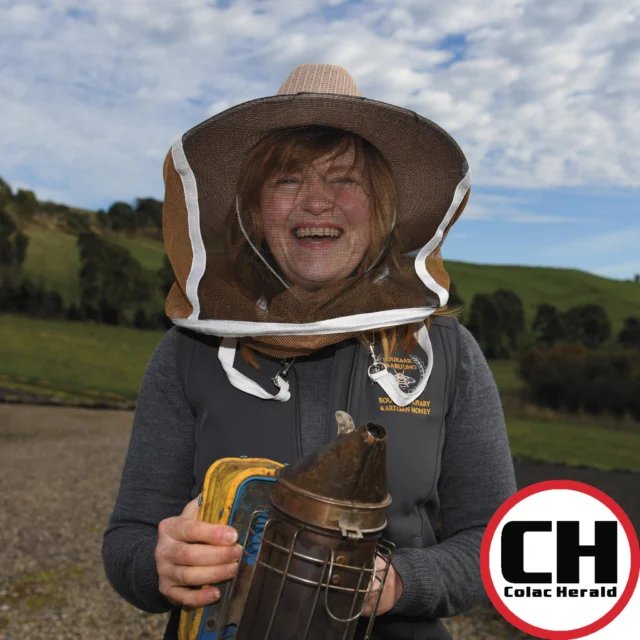 Dry conditions, potential varroa mite infestation and increasing costs are all impacting the bee industry in south-west Victoria.

Camperdown beekeeper Anna Carrucan runs a small-scale commercial beekeeping operation and is preparing to undertake varroa mite precautions to protect her bees from the parasite.

Varroa mite is an exotic parasitic mite that kills honey bee colonies and transmits honey bee viruses. It was first detected in Australia in 2022 in New South Wales and has since been deemed ineradicable.

#colacherald #bees #varroamite