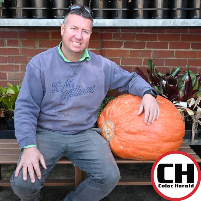 Multiflora Nursery's second annual pumpkin competition proved very popular, with growers from across Colac and district entering their Atlantic Giants. 

Check out some of the pumpkins!