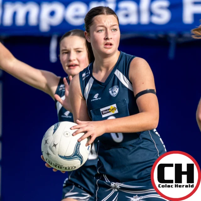 The Colac Herald's junior sport coverage continues in today's edition, with this week featuring @colacimperials  and @alviefootballnetballclub.

Check out the netballers in action!